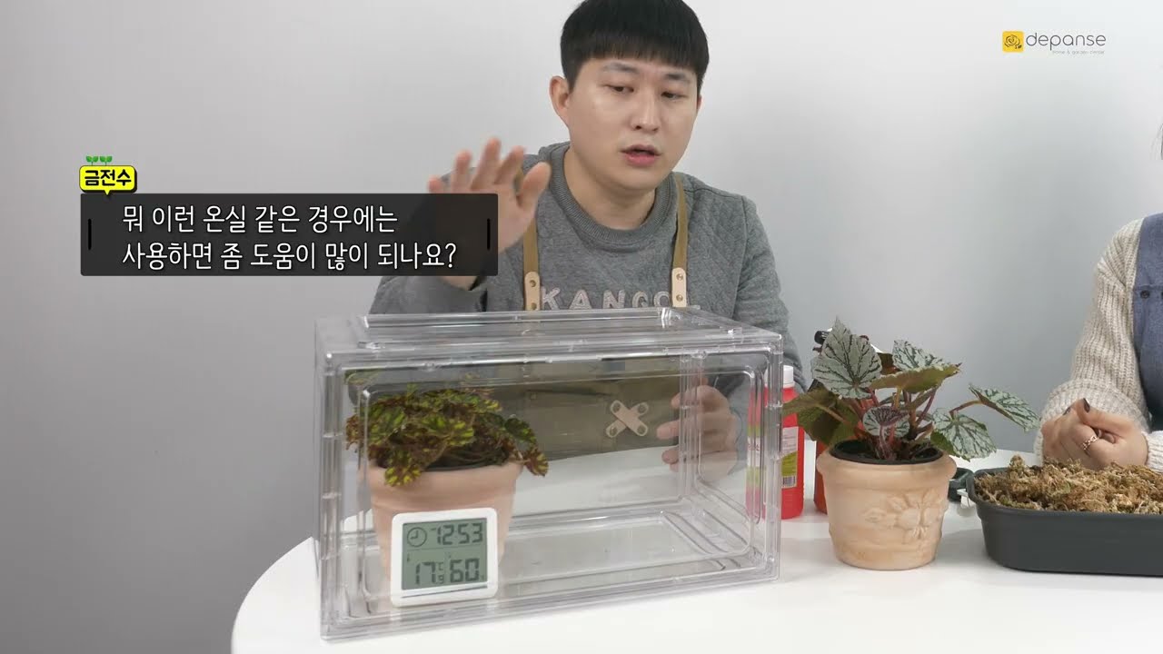 유리온실에 키우면 좋은 식물 (feat. 배고니아)