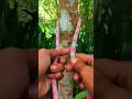 Simple Knot That’s Easy to Untie! #knot #ropetrick #outdoorskills