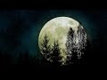 Miniature de la vidéo de la chanson Falling Stars