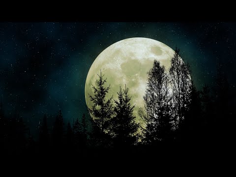 Falling Stars