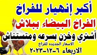 اسعار الفراخ البيضاء اليوم | سعر الفراخ البيضاء اليوم الاربعاء 6-12-2023 في مصر جمله وقطاعي