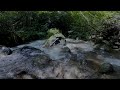 River Sounds for Sleeping | 12 Hours Premium River Ambience for Deep Sleep [No Talking]