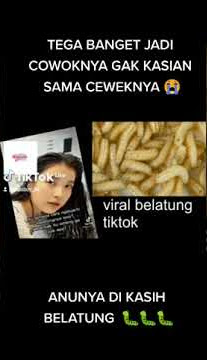 YANG VIRAL DI TITOK ANUNYA ADA BELATUNGNYA
