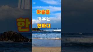 마음을 깨우는 한마디 #명언 #공감글귀 #지식 #마음의소리로쓰는글 #좋은글 #멋진글귀 #지혜 #긍정적마인드 #인생조언 #긍정의말#shorts