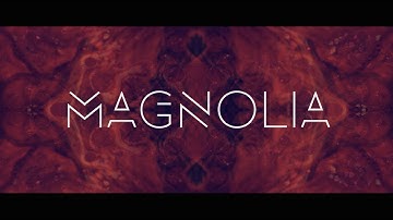 Vault 51 - Magnolia