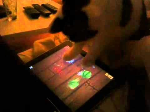 Fruit Ninja Cat