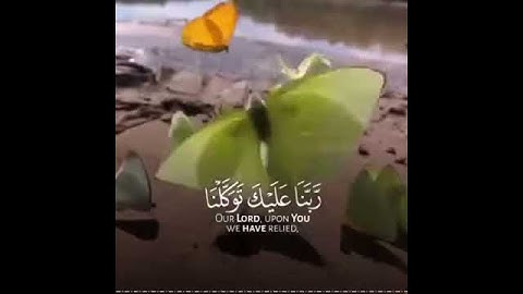 ايات قصيرة||رعد الكردي||قرآن كريم||حالات واتساب قرآن كريم