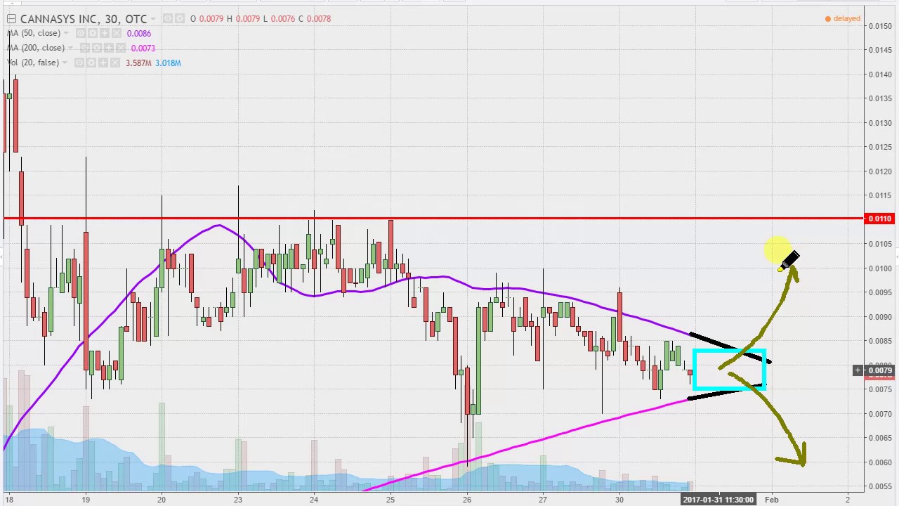 Mjtk Stock Chart