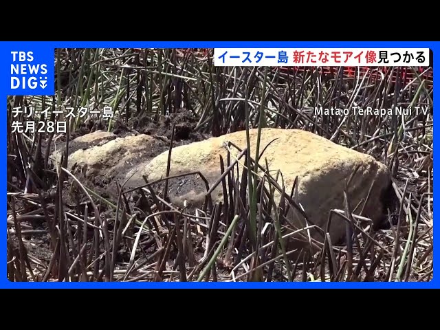 イースター島で新たなモアイ像発見 干上がった湖の底から｜TBS
