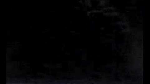 mac OSX crashes on halo