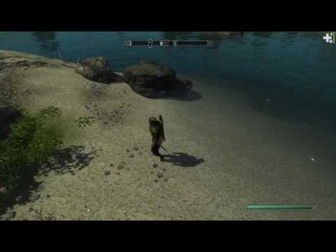 water flickering bug in Skyrim