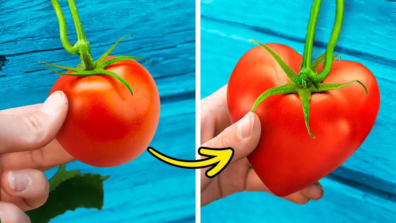 AWESOME PLANT HACKS AND SMART GARDENING TO HELP YOU GROW YOUR OWN FRUITS AND VEGGIES