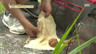 SBS 백년손님 11회 #34(11)