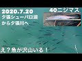 2020.7月20日シューパロ湖から夕張川に久しぶり釣りに行ってきました。