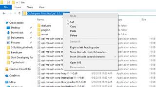 Set Path to JDK 8 on Windows 10