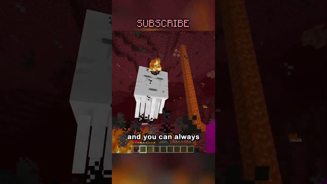 NEVER BUILD YOUR NETHER PORTAL IN YOUR HOUSE!!!!!!! OR ELSE I WILL FREAK OUT!!!!!!!!!!! ANGER!!!!!!!