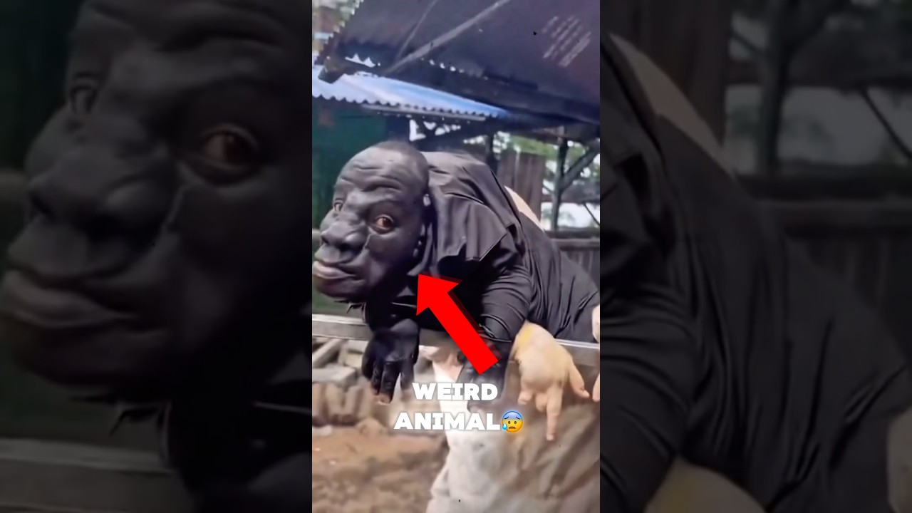 Top 3 Scary-Looking Creatures That Are Totally Harmless😱 #animals #shorts #viral #creepy