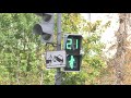 Светофор улица пешеходный переход футаж traffic_lights footage