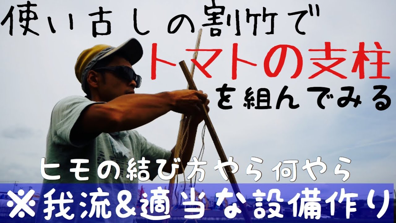 設備作り 使い古しの竹でトマト用の支柱兼囲いを作る19年6月4日農チューバー Youtube