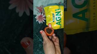 टमाटर 🍅 Chai ☕Patti 🍃की Useful Tips 👌#New​ Kitchen Tips #Shorts​ #Viral​ #YTShorts​👌#itssonalverma