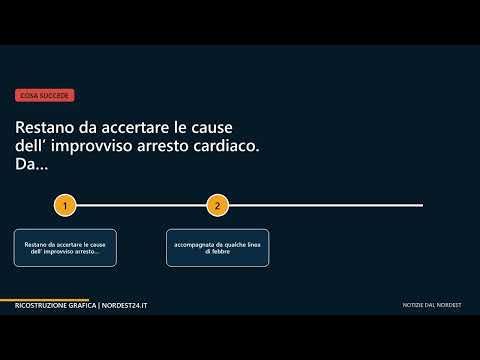 Video Dopo la febbre, la madre lo trova privo di sensi: Luca Barichello muore a 16 anni