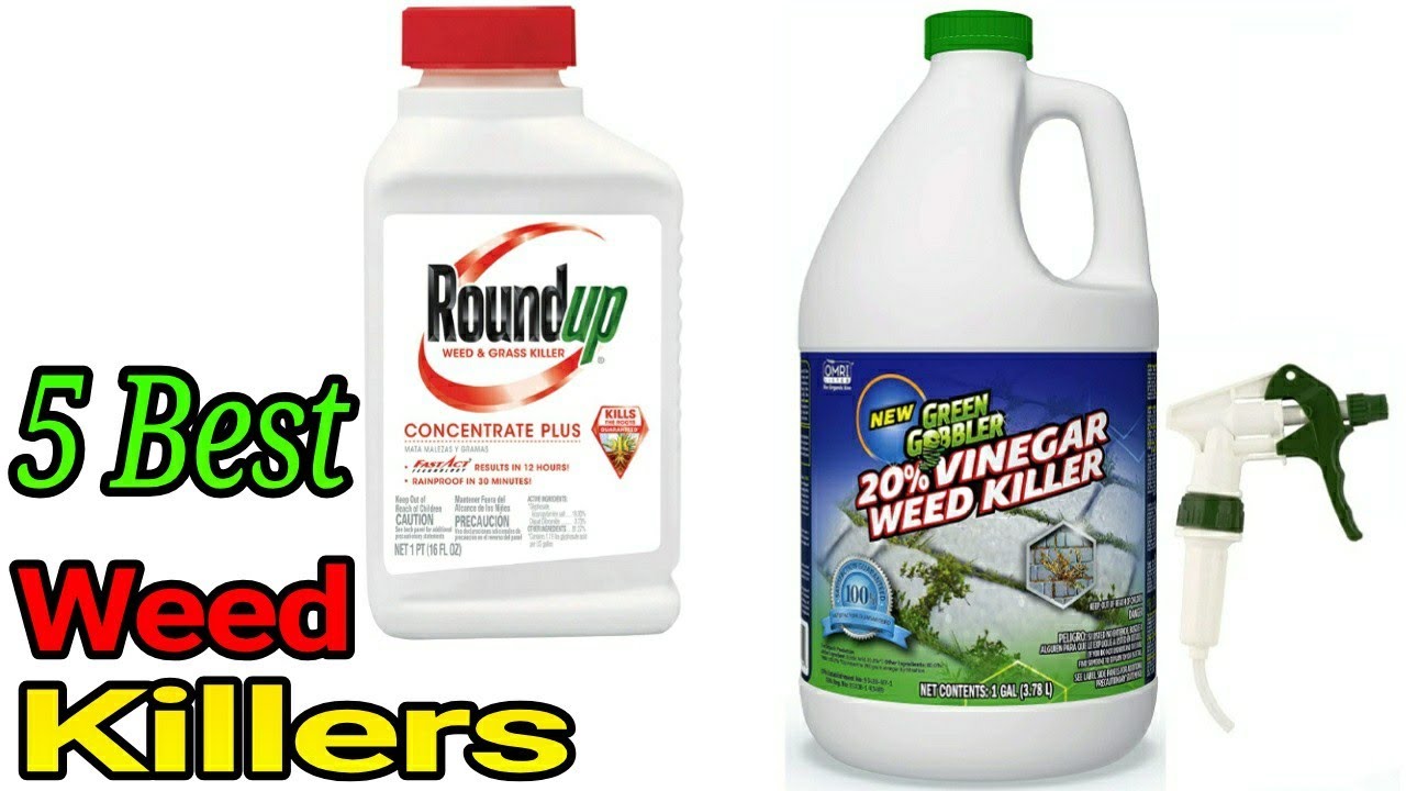 5 Best Weed Killers 2021