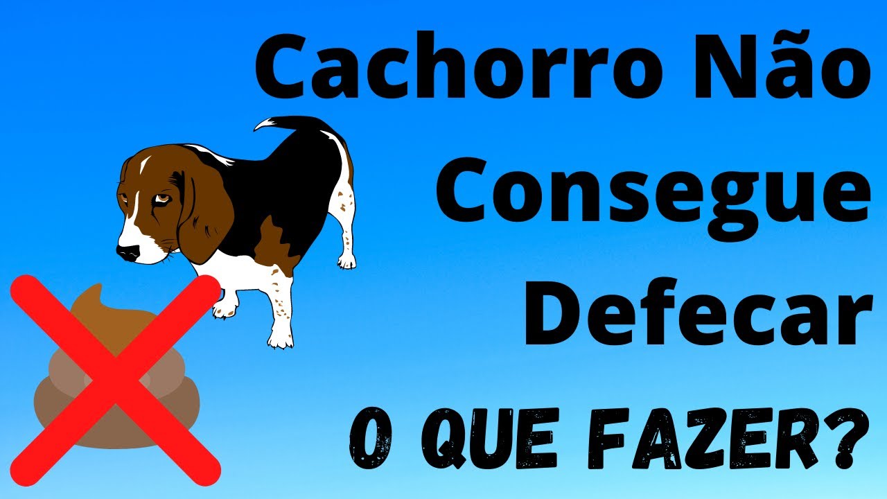 Cachorro não Consegue Defecar, 5 Formas Naturais para Ajudar - YouTube