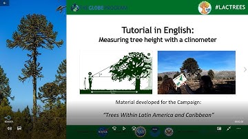 "Trees within LAC" - Measuring tree height with a clinometer (English)