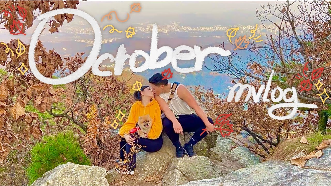 10월 총정리 October 2023 mvlog - YouTube