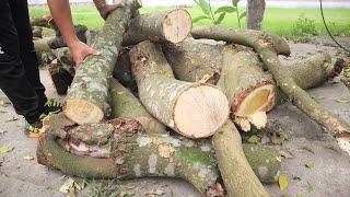 Peak Wisdom Using Waste Tree Trunks: Basic Woodworking Tools But Great Skills || Woodworking Project