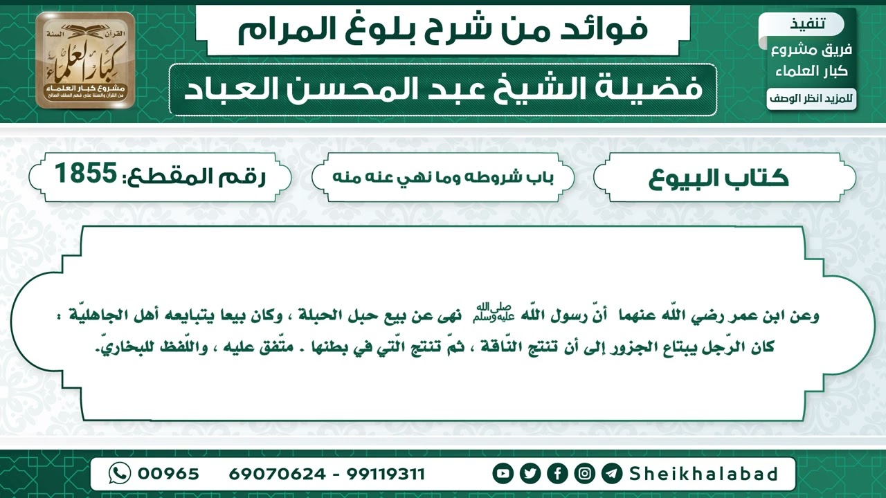 1855   حديث أنّ رسول اللّه ﷺ  نهى عن بيع حبل الحبلة ..  الشيخ عبد المحسن العباد