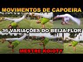 36 Variações do Beija-flor (Y kick) Movimentos de capoeira Mestre Koioty - Capoeira Herança de Zumbi