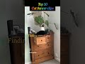 ranking cat funniest moment