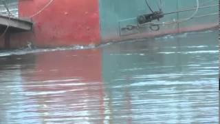 Villa Regina - El servicio de balsa durante las crecidas del río