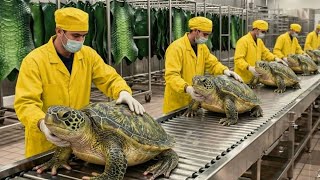 Inside the turtle shell factory. How millions dollar of luxury items are Made.