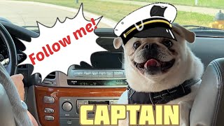 Captain Pugget Leo leading us on an adventure