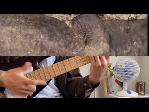 おろちんゆーVSたかちんゆー（ビートボックスとコラボ）