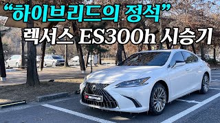 이것이 하이브리드 럭셔리 세단의 근본이다! 렉서스 ES300h 페이스리프트 시승기 | 렉서스 ES300h 이그제큐티브, 헤이즐 시트 컬러