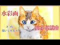 【誰でも超簡単に始められる】水彩画 入門【実践編2】ネコの描き方