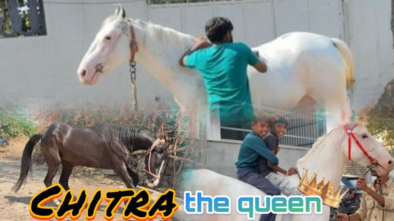 Badko ne moj aavi gy…🤩