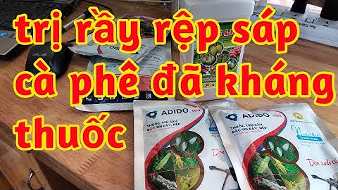 trị rầy rệp sáp cà phê đã kháng thuốc gây ung trứng chống Lột Xác dọn sạch ổ 023 24