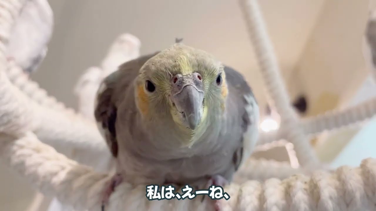 Недавно я очень разозлился и стал приемным родителем. Вот что скрывается за добрыми словами.