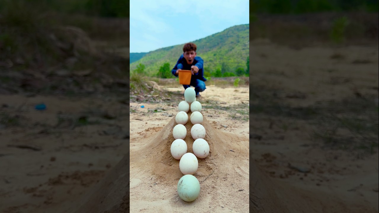 Survival skills: SlMPLE but USEFUL in forest 