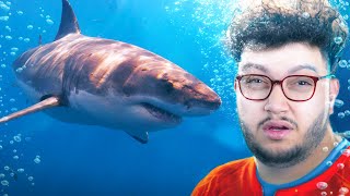 تجربة السباحة مع القرش 🦈 (ارعب تجربة بحياتي)