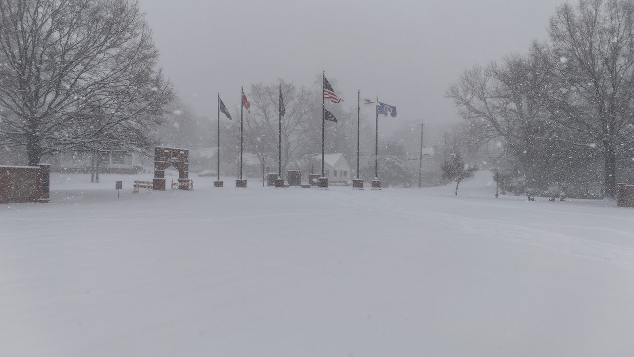 Flying Blind: A Snowstorm Drone Flight Over City Park