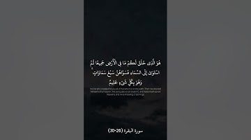سورة البقرة من الاية (26-30) #قران_كريم #قرآن #سورة_البقرة #ختمة