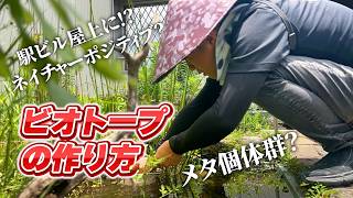 A Miracle on the Station Rooftop] Praised by Dr. Maru Oikawa! The