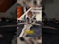 This Man’s $5,000 Game Sword Was NOT What He Expected😳