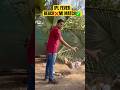 GenAlpha Attitude-MI Cricket Match over anything else #mumbaiindians #cricket #ipl #kokan #ytshorts