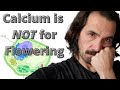 Is calcium good for fruiting stage